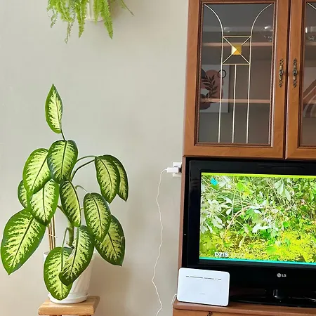 Ratuszowe Serce Miasta Apartman