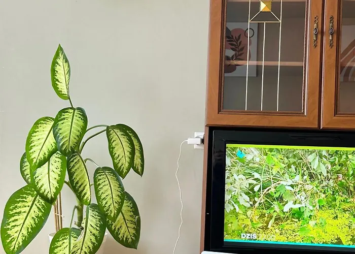 Ratuszowe Serce Miasta Апартаменты