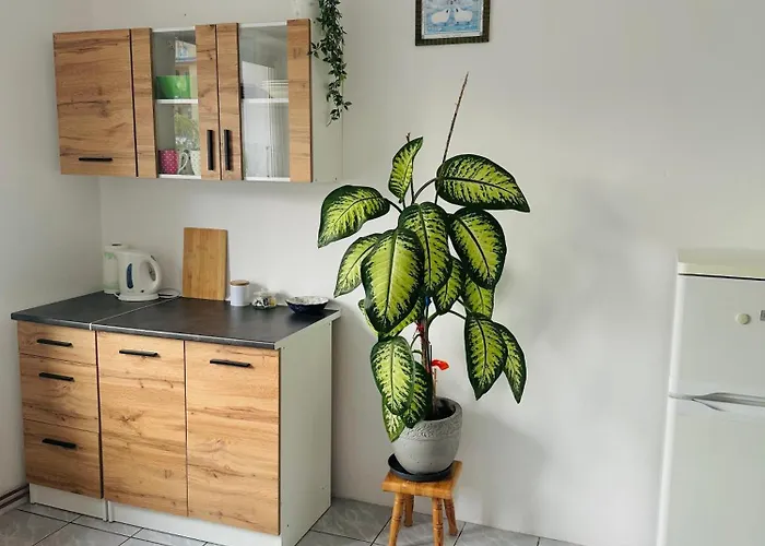 Ratuszowe Serce Miasta Апартаменты *